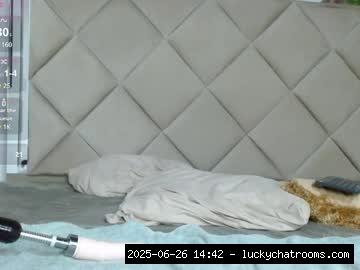 Gay Boy Twinks, Lovense, Bigcock, Selfsuck, Gay, Sexmachine.